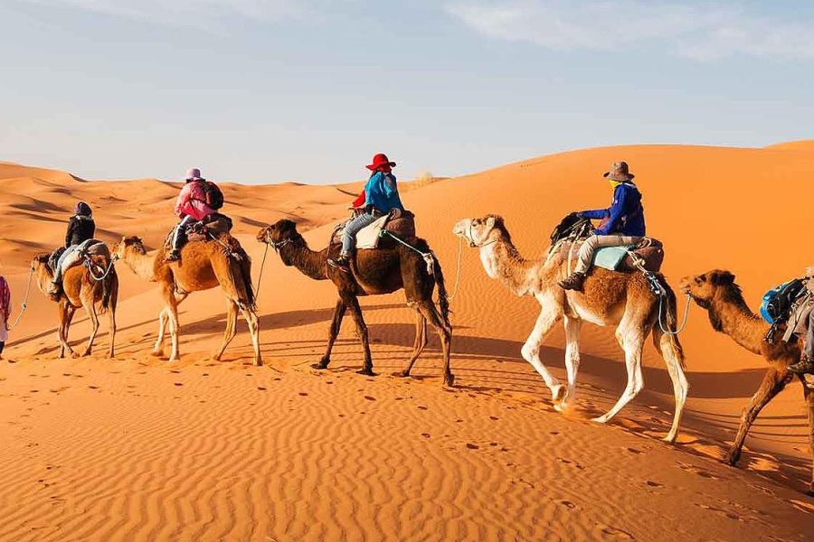 Camel Trekking in the Sahara